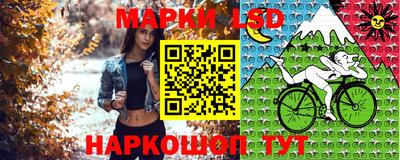 сатива Кимры