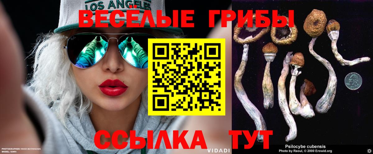 Галлюциногенные грибы прущие грибы  Галлюциногенные грибы мухоморы  Вход с VPN  Куйбышев 